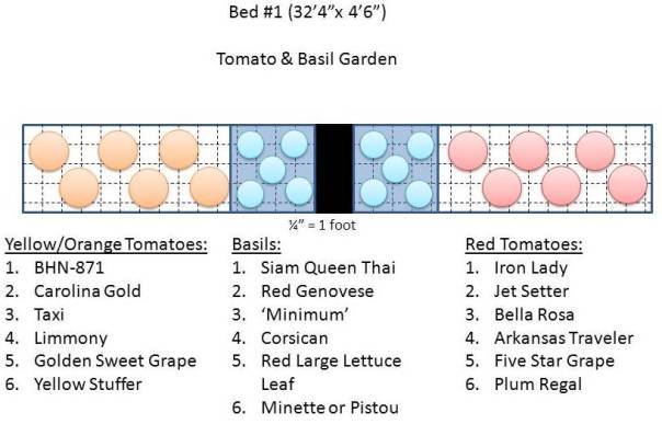 Tomato & Basil Garden