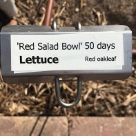 lettuce label